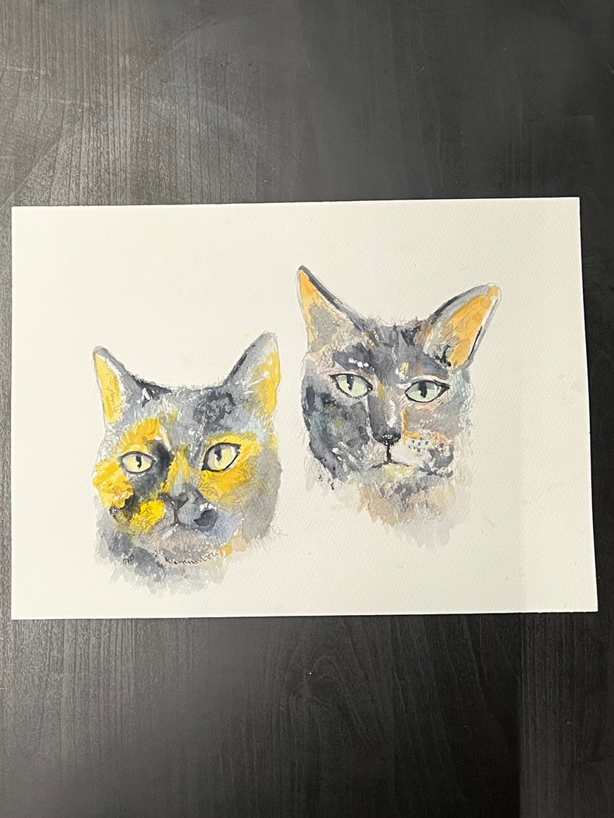 Two cats that don't look like this