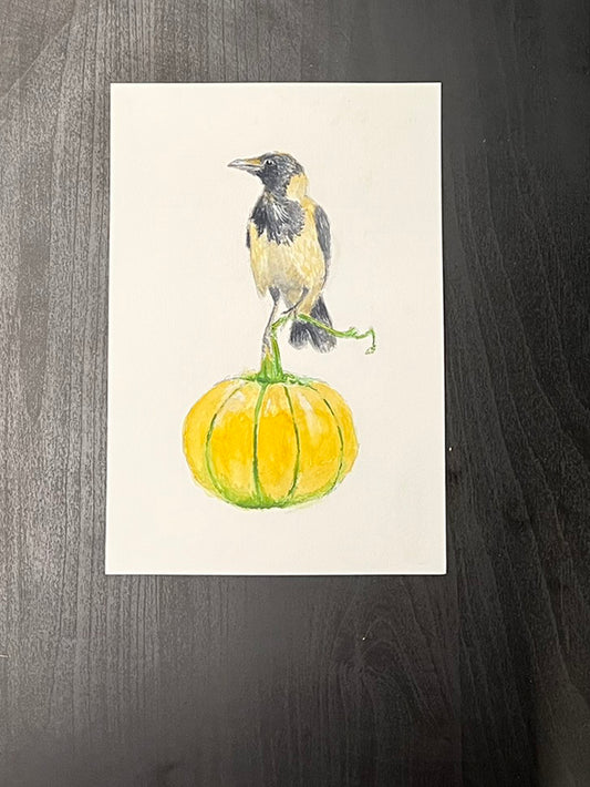 hooded crow on pumpkin