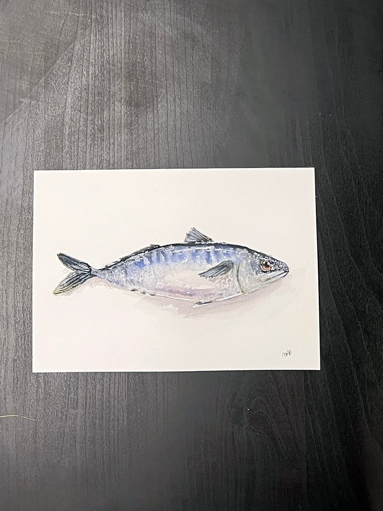 Mackerel