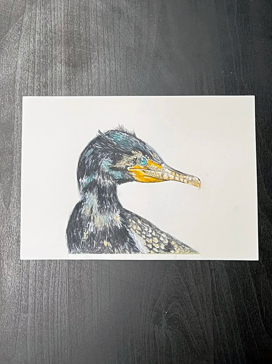 Cormorant two